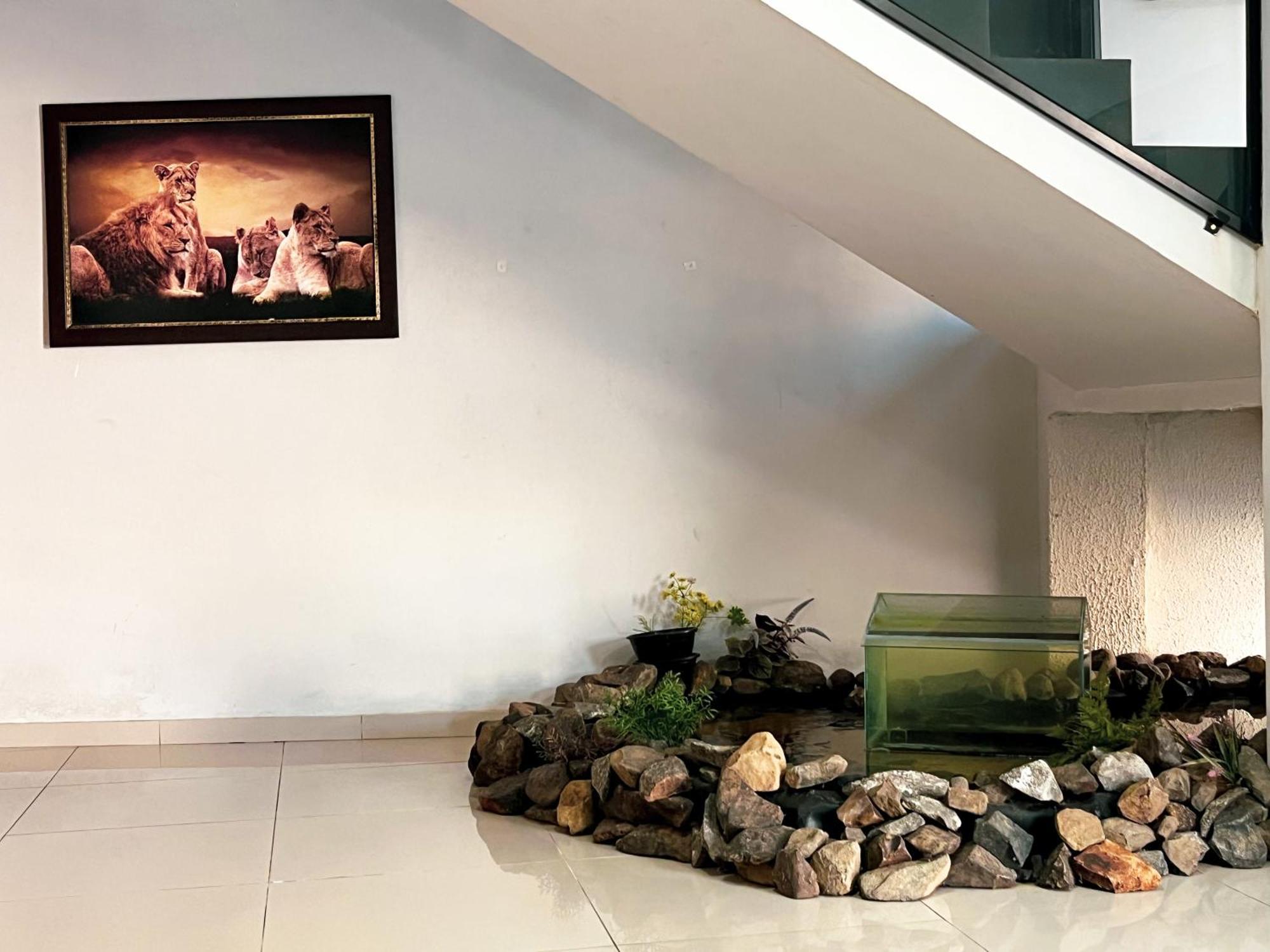 Hotel Rof Telemaco Borba Экстерьер фото